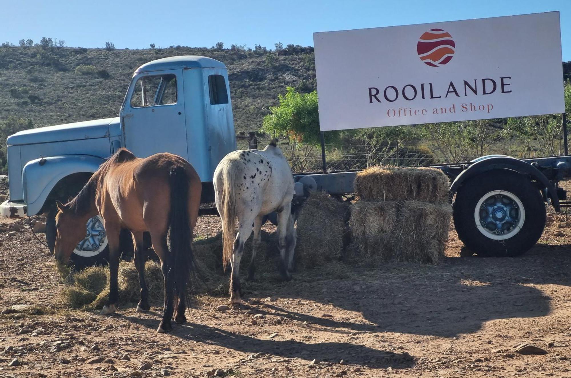 Rooilande Guest Farm Apartman Laingsburg Kültér fotó