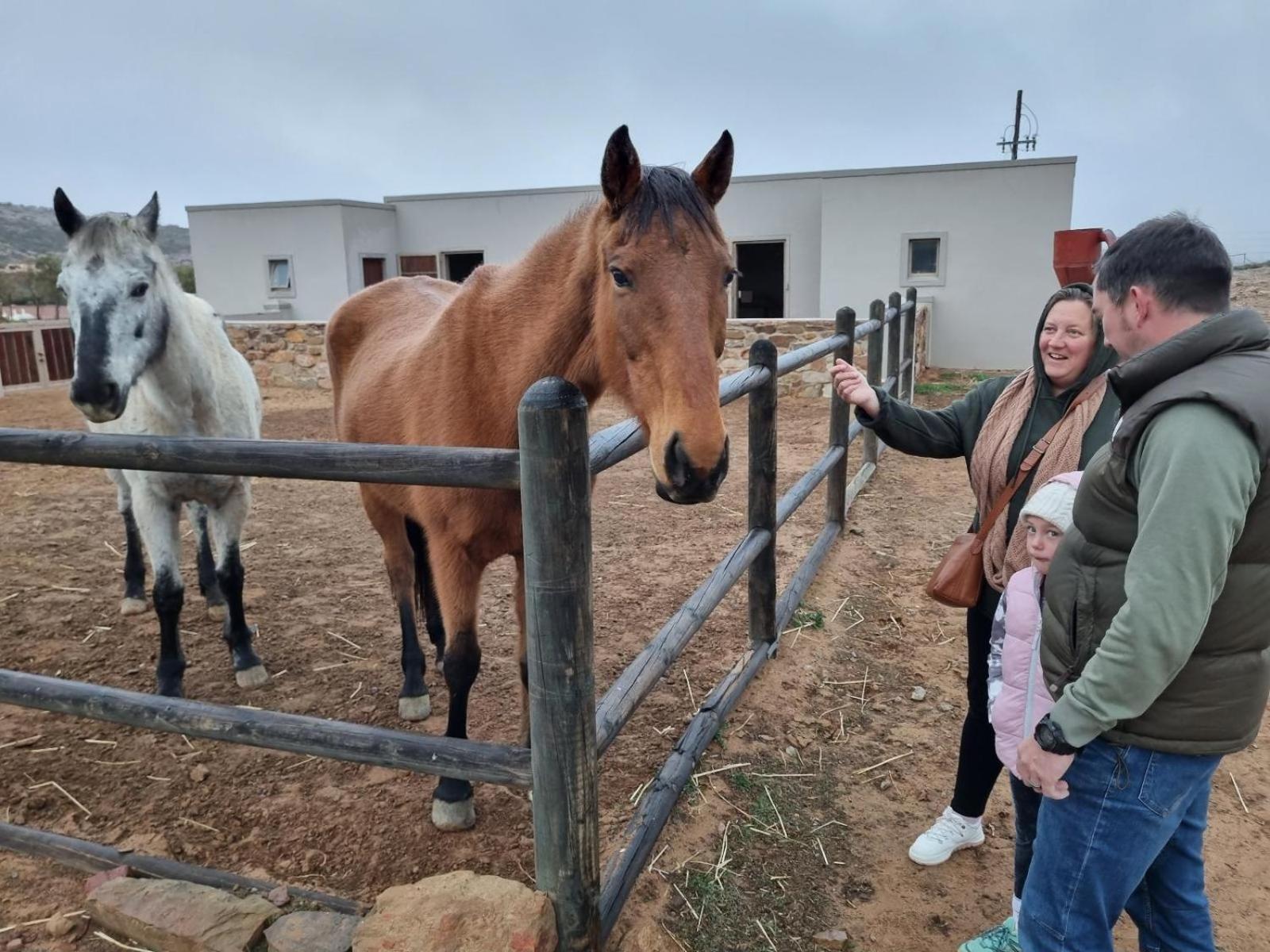 Rooilande Guest Farm Apartman Laingsburg Kültér fotó